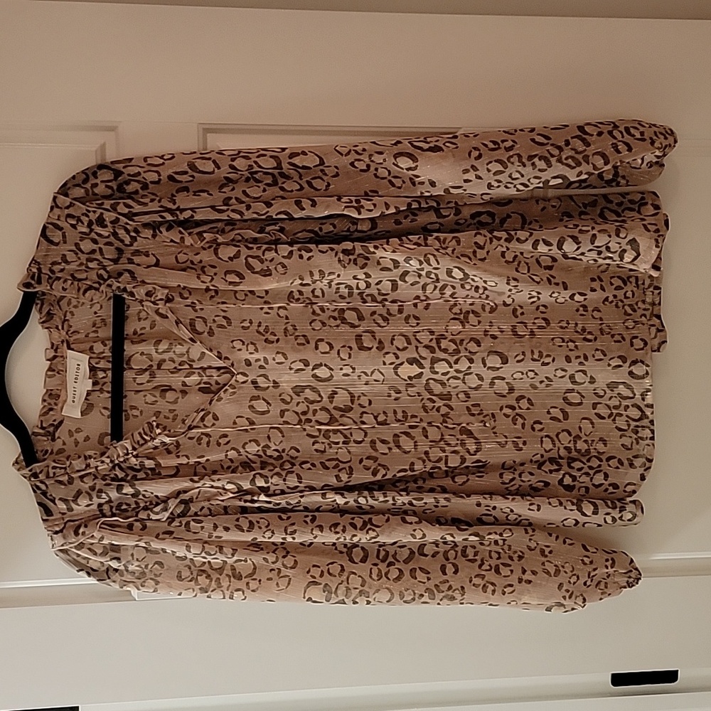 Guest Editor Sheer Silver Pink Blouse